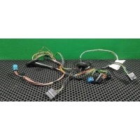 Проводка двери задней левой Mercedes A W169 2004 A1695408205