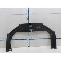 Кожух замка капота Jetour Dashing 2022- F162811010CA