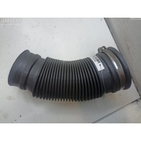 Гофра инжектора Opel Signum 2006 55354823