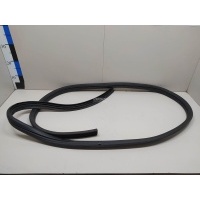 Уплотнитель двери Renault Logan (2005 - 2014) 6001547017