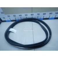 Уплотнитель двери Renault Megane II (2003 - 2009) 8200077500