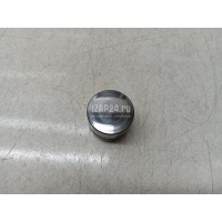 Толкатель клапана гидравлический VAG Pointer/Golf BR (2004 - 2009) 050109309J