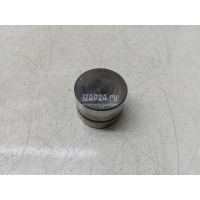 Толкатель клапана гидравлический VAG Pointer/Golf BR (2004 - 2009) 050109309J