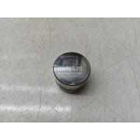 Толкатель клапана гидравлический VAG Pointer/Golf BR (2004 - 2009) 050109309J