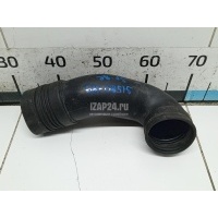 Воздухозаборник (внутри) Hyundai-Kia Sportage (2004 - 2010) 282102E100