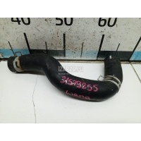 Патрубок радиатора Suzuki Liana (2001 - 2007) 1785254G00