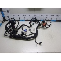 Проводка (коса) Citroen-Peugeot 307 (2001 - 2008) 6569FF
