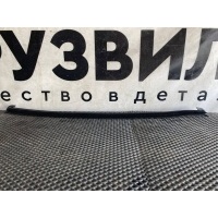 уплотнитель стекла двери левый Volvo FH5 82178204