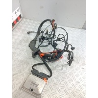 Проводка двигателя Volkswagen Passat 2003 038906019GS