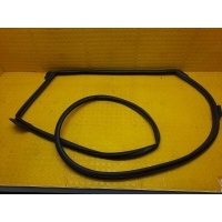 Уплотнитель двери Geely Coolray SX11 2023 6600005286, 5081038400