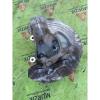 Кулак поворотный BMW X1 E84 2012 31216865143, 31216765157