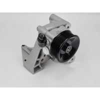 Насос гидроусилителя руля PSA Boxer/Ducato/Jumper 250 0036336SX, 504385414