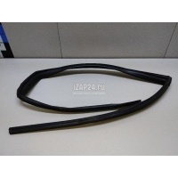 Уплотнитель стекла двери GM Captiva (C100) (2006 - 2010) 95061134