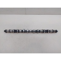 Распредвал выпускной Honda CR-V (2007 - 2012) 14121RBDE00