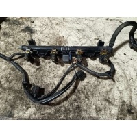 Топливная рампа Seat Ibiza 3 2008 036971824D, 036133319BT