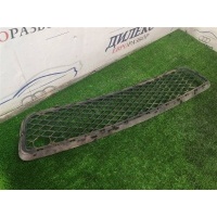 решетка в бампер центральная BMW X5 E70 2007-2013 51117163956