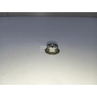 Гайка VAG Q5 [8R] (2008 - 2017) WHT002005