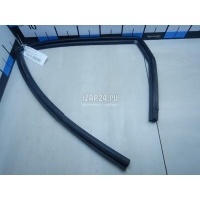 Уплотнитель стекла двери GM Aveo (T250) (2005 - 2011) 96541779