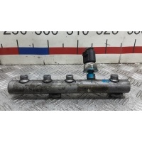 Топливная рампа дизельная AUDI Q7 (2006-2008) 2006 059130089AB, 059130090AG
