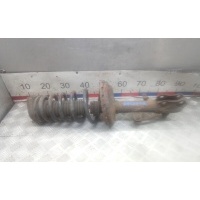 Стойка задняя правая LEXUS RX (2003) 2005 4853049595, 4823148350