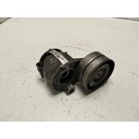 Механизм натяжения ремня, цепи Renault Scenic II (2003-2009) 2007 905328