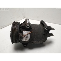 Компрессор кондиционера Renault Scenic II (2003-2009) 2007 8200678499