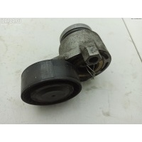 Механизм натяжения ремня, цепи Renault Scenic II (2003-2009) 2004 8200371058