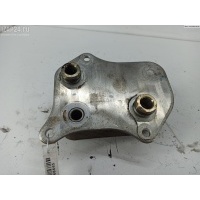 Теплообменник Audi A4 B7 (2004-2008) 2005 06B117021