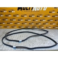 Уплотнитель двери Задн. KIA Optima 4 2021- 83110D4000 83210D4000