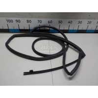 Уплотнитель (наружный) Hyundai-Kia Sorento II (2009 - 2020) 831402P002