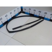 Уплотнитель стекла двери Hyundai-Kia Cerato (2009 - 2013) 825301M000