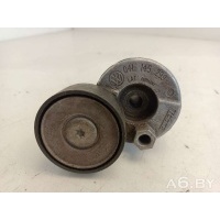 Натяжитель ремня генератора Volkswagen Multivan T6 2016 04L145299