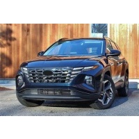 Hyundai тусон iv панорамная крыша длинные столбики
