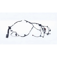 Проводка двери Geely Monjaro KX11 2023 8894950310