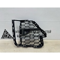 Решетка бампера BMW X7 G07 M-Pack 2019-2022 51118069890
