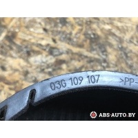 Защита (кожух) ремня ГРМ Audi A4 B7 2006 03G109107