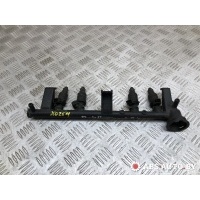топливная рампа Peugeot 406 2002 9608250080,IW054