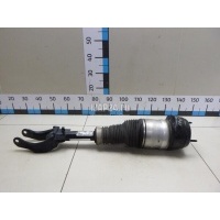 Амортизатор передний левый Mercedes Benz GL-Class X166 (GL/GLS) (2012 - 2019) 1663204966