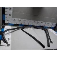 Уплотнитель стекла двери BMW 3-serie F30/F31/F80 (2011 - 2020) 51357258328