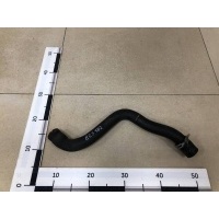 Патрубок радиатора охлаждения Ford Ford C-MAX 2003-2010 1490677