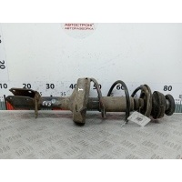 Стойка амортизатора переднего левого (МакФерсон) Renault Clio 2 (1998-2005) 8200662261