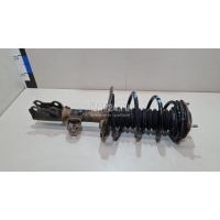 Пыльник переднего амортизатора Toyota RAV 4 (2013 - 2019) 4804542010