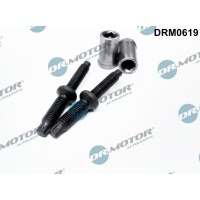 Комплект болт инжектора citroen c4 2 , 0h dr.motor drm0619 śruba ,