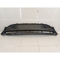 Решетка в бампер центральная Mercedes-Benz E-Class W213 A2138856900