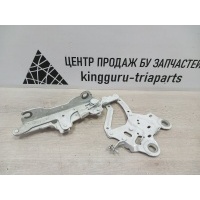 Петля капота BMW X1 F48 2015-2019 41007427126