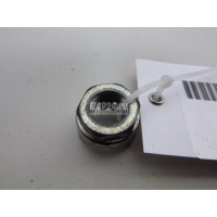 Гайка Renault Kaptur 2016 282191132R