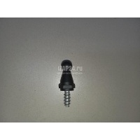 Крепеж VAG Kodiaq 2017 WHT007324