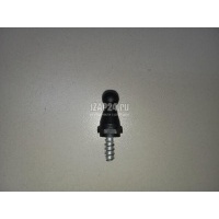 Крепеж VAG Kodiaq 2017 WHT007324