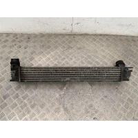 Интеркулер Renault Scenic 3 (2008-2015) 2009 144960006