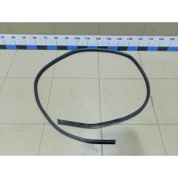 Уплотнитель (внутри) Datsun On-Do 2014> 769235PA0A